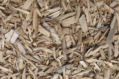 biomass boilers Woodburn