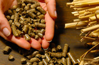 free Woodburn biomass boiler quotes