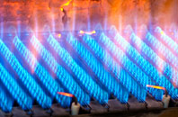 Woodburn gas fired boilers
