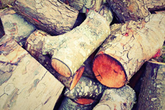 Woodburn wood burning boiler costs